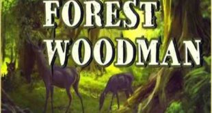 Forest Woodman PC Game Download Full Version