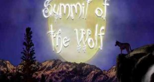 Summit of The Wolf Free Download Game For PC